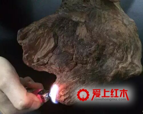 靠燃烧方法就能辨别海黄和越黄，是真的吗？-10