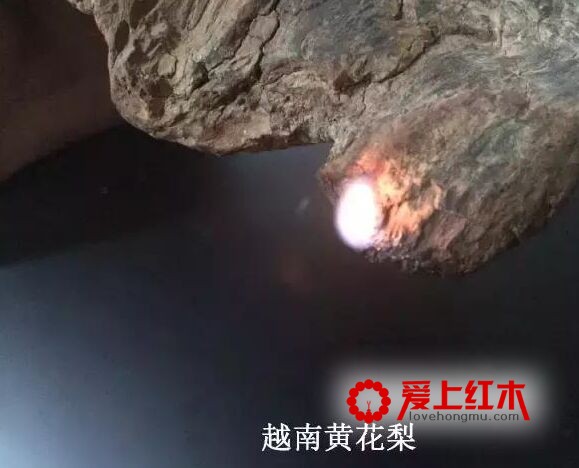 靠燃烧方法就能辨别海黄和越黄，是真的吗？-16