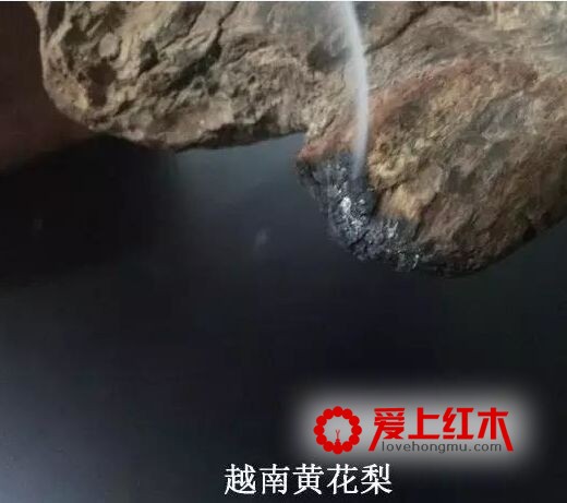 靠燃烧方法就能辨别海黄和越黄，是真的吗？-18