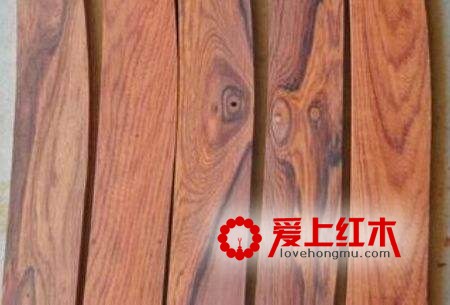 白酸枝和红木酸的主要区别在哪里？