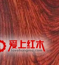 红木家具市场中最受热捧八种红木材料分析-4