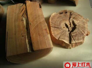 关于“香料之王”檀香的基本知识