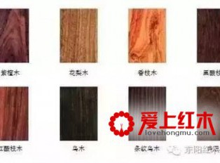 红木5属8类33种 你知道中8类红木都叫什么吗