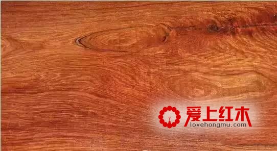 红酸枝木中这四种黄檀详细资料介绍 你喜欢哪种-3
