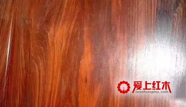 红酸枝木中这四种黄檀详细资料介绍 你喜欢哪种-1