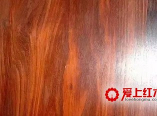 红酸枝木中这四种黄檀详细资料介绍 你喜欢哪种