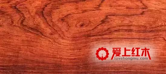 红酸枝木中这四种黄檀详细资料介绍 你喜欢哪种-2