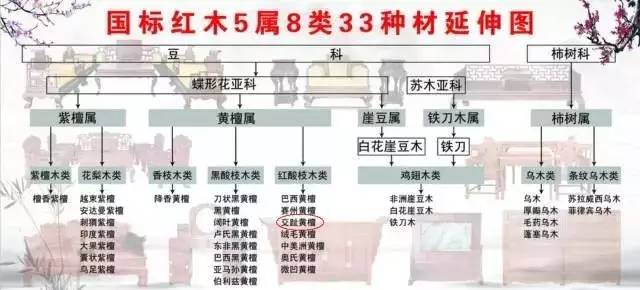 交趾黄檀即大红酸枝资料大起底 大红酸枝市场行情-1