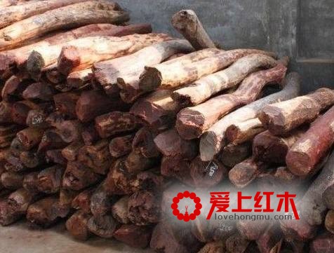 红木原料作为中药材有一定的保健效果