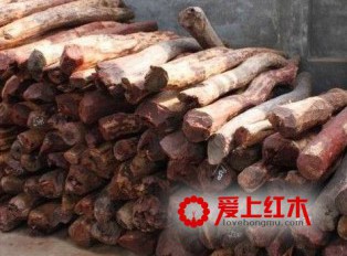 红木原料作为中药材有一定的保健效果