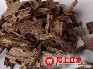 这五种极品沉香代表了沉香届的五才子