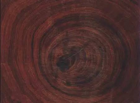 红木有多少种类？红木的学名和俗名介绍-3