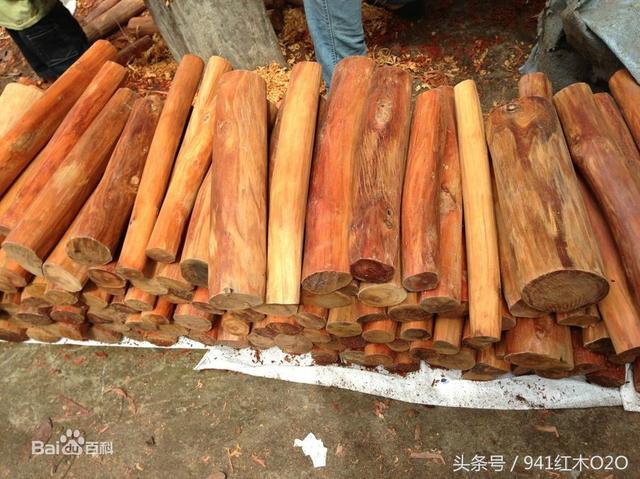 血龙木到底是什么 血龙木是木中之王-1