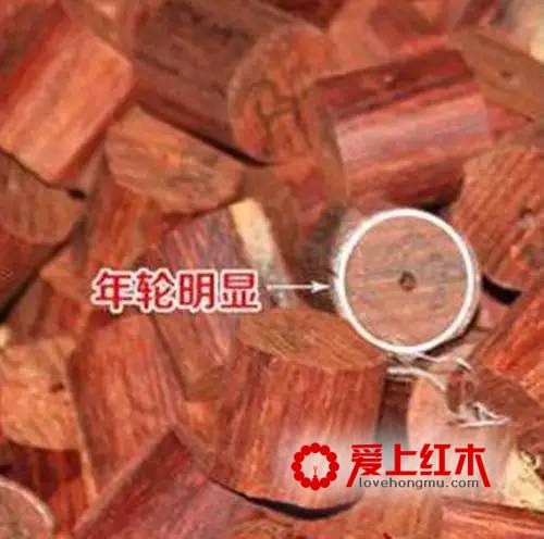 如何鉴定小叶紫檀 小叶紫檀鉴定之18个技巧-2