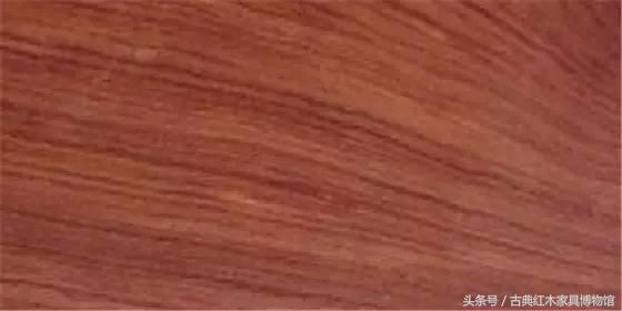 哪些木材是红木 真正红木有33种-31
