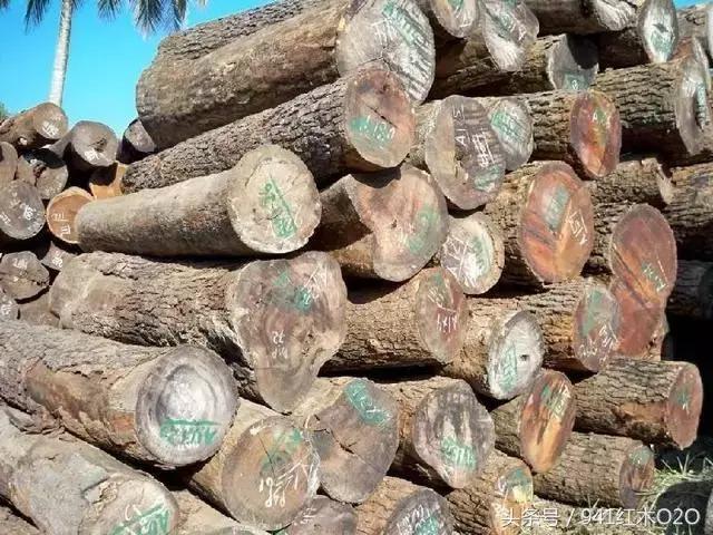 红木国标33种木材哪些将严格受管制-5