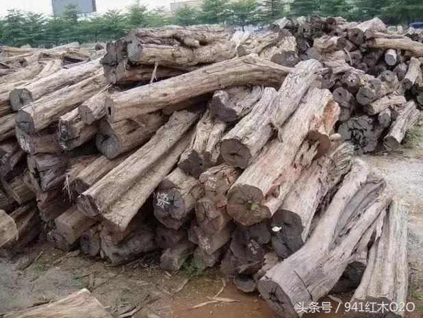 红木国标33种木材哪些将严格受管制-7