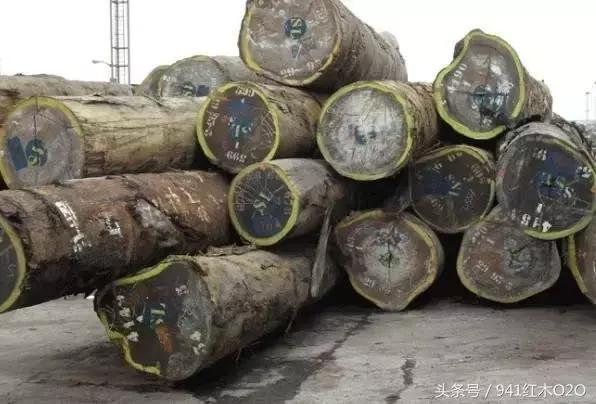 红木国标33种木材哪些将严格受管制-8