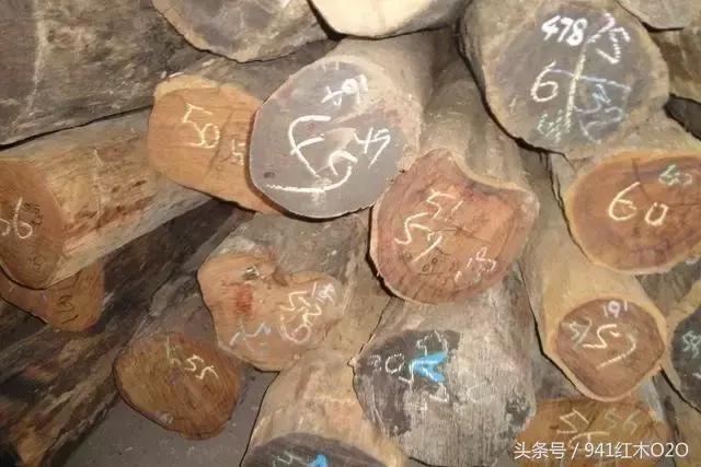 红木国标33种木材哪些将严格受管制-10