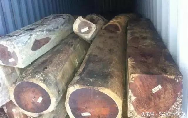 红木国标33种木材哪些将严格受管制-12