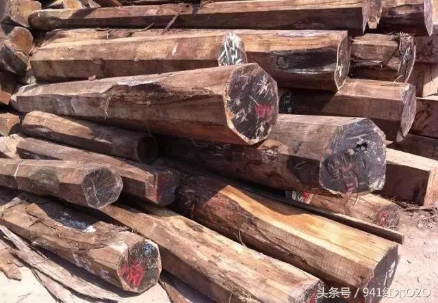 红木国标33种木材哪些将严格受管制-13