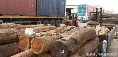 红木国标33种木材哪些将严格受管制-19