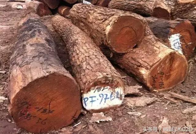 红木国标33种木材哪些将严格受管制-18