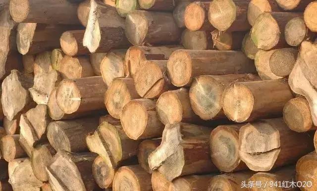红木国标33种木材哪些将严格受管制-17