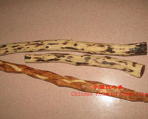 海南黄花梨的油梨和黄梨（糠梨）的比较-3