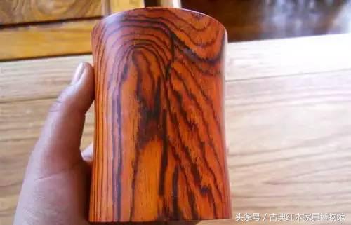 盘点红木界的十大频危树种-11