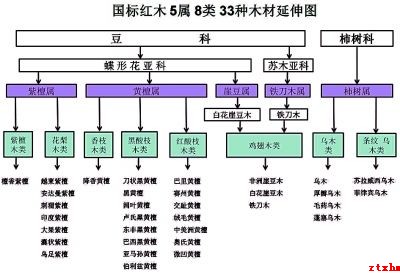 红木入门必知 红木的分类和特征-2