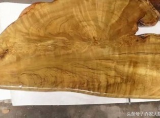黄心楠、黄金樟、金丝楠的辩别方法