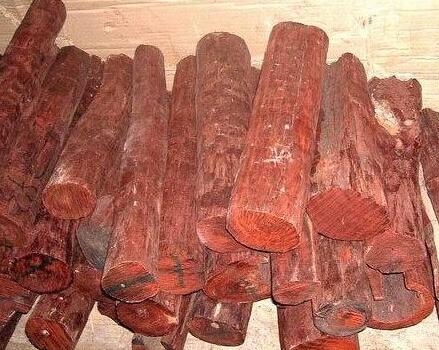 关于小叶紫檀的传说哪些是真的？-1