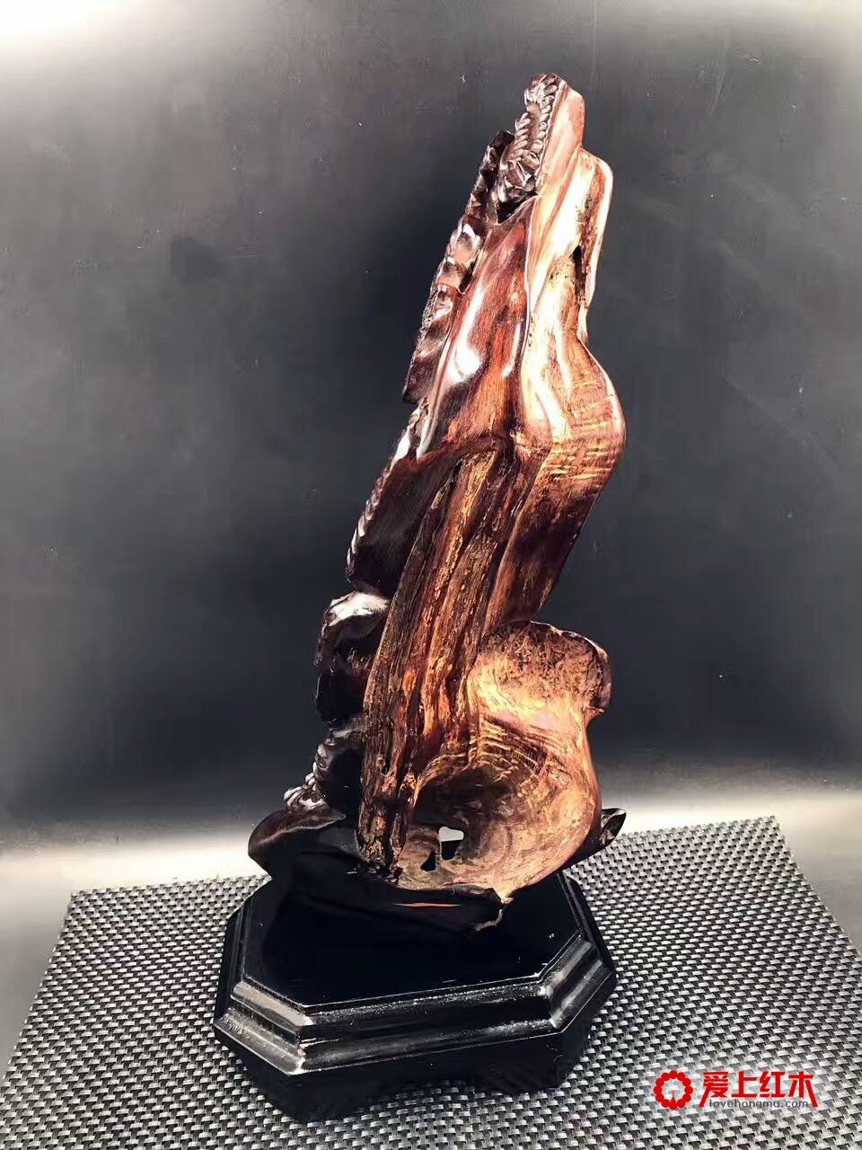 紫檀柳水波纹带瘤根雕根艺《如意有福》-4