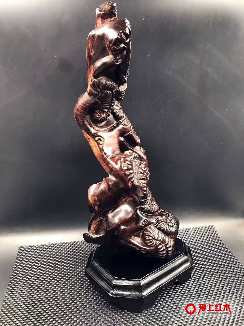 紫檀柳水波纹带瘤根雕根艺《如意有福》-5