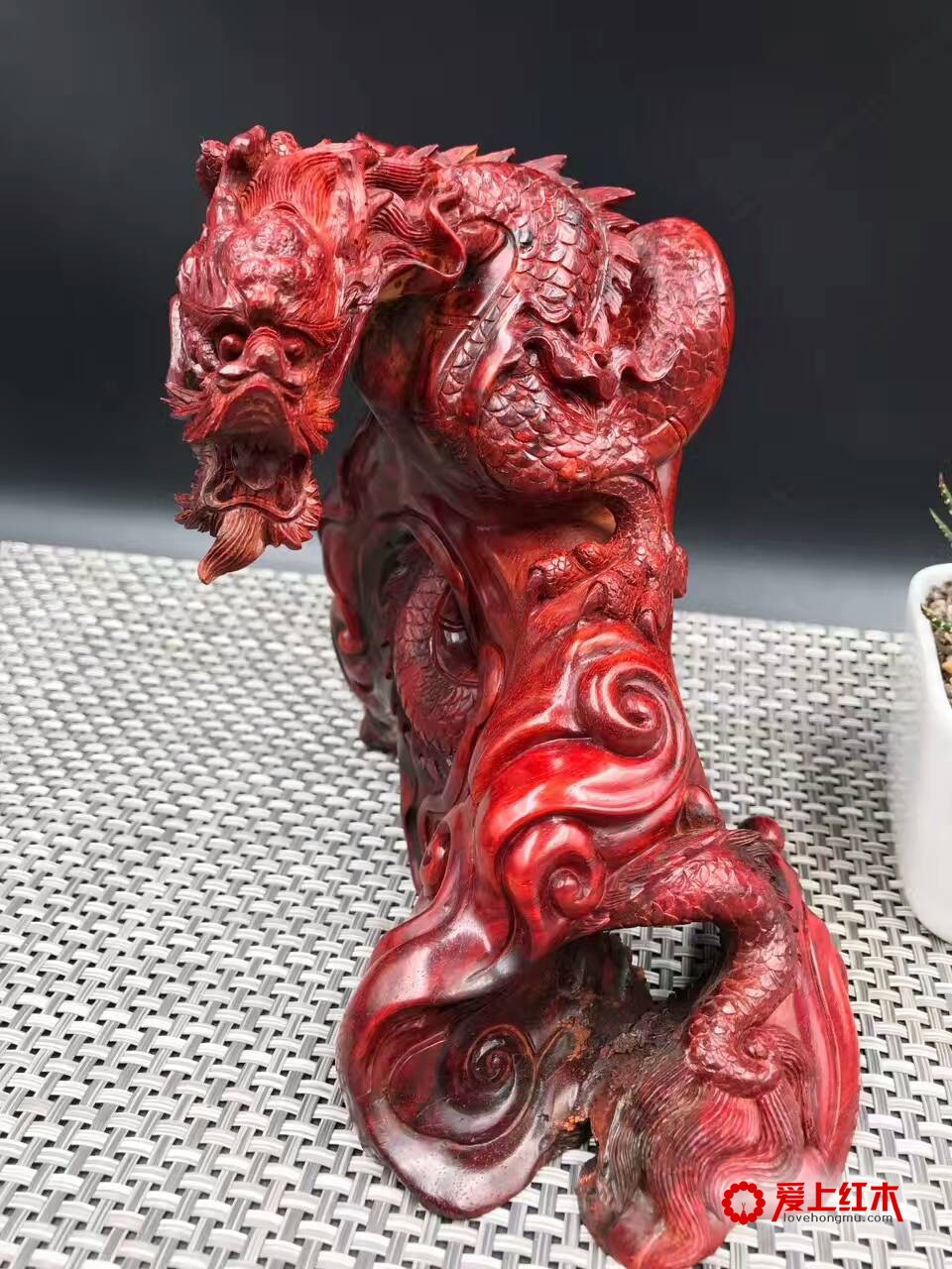 印度小叶紫檀高密度泥料手工雕刻作品《龙》-2