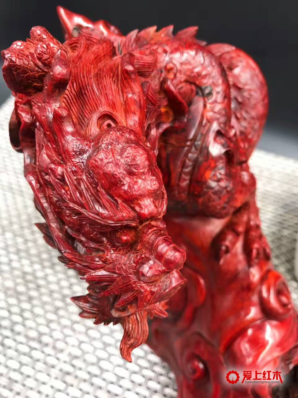 印度小叶紫檀高密度泥料手工雕刻作品《龙》-5