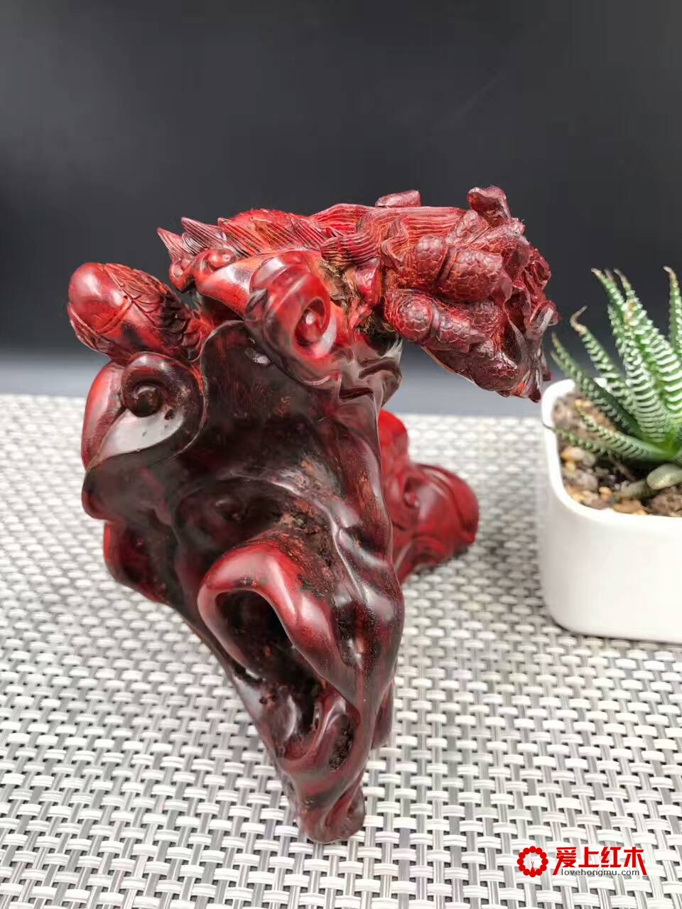 印度小叶紫檀高密度泥料手工雕刻作品《龙》-4