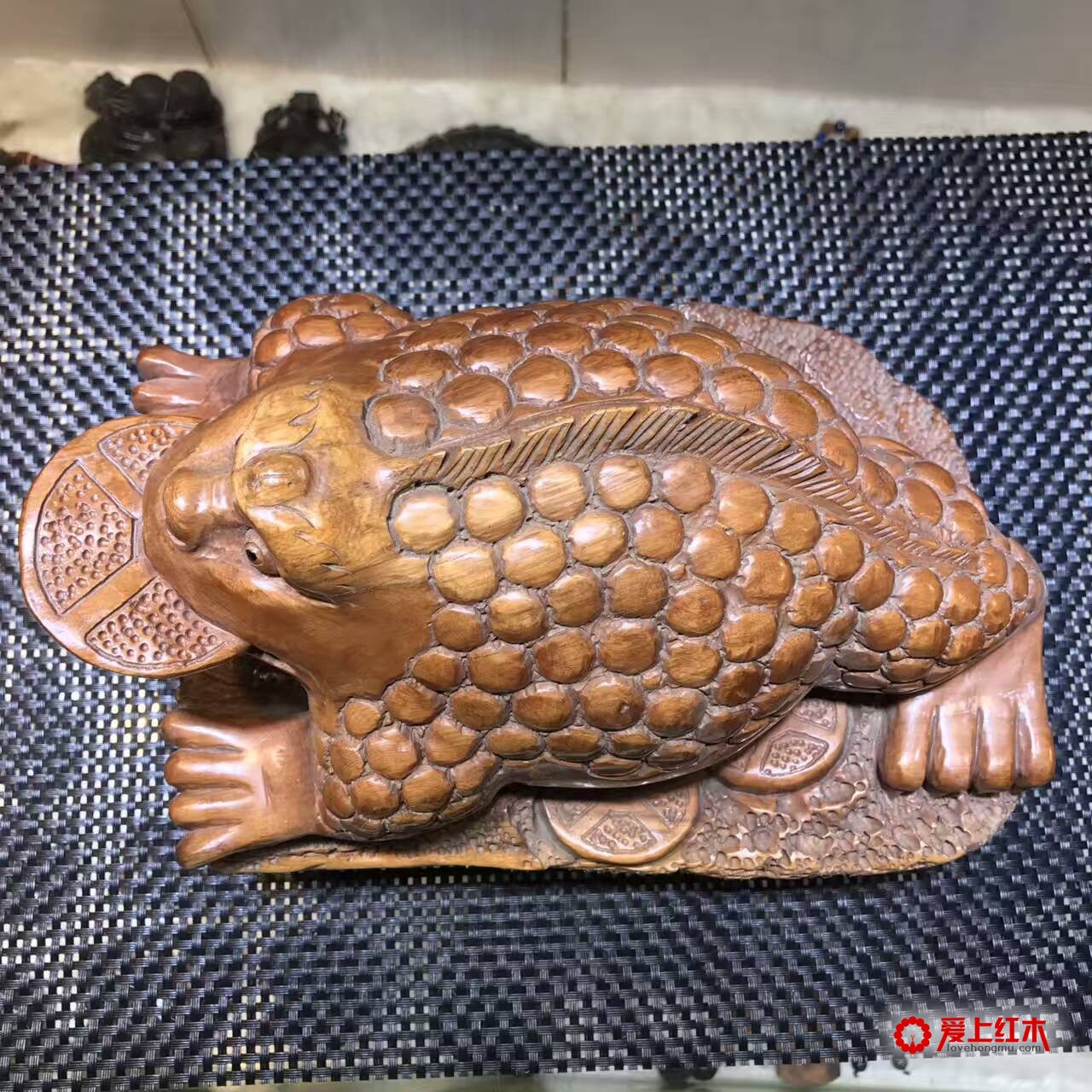 红豆杉手工雕刻招财金蟾 客厅风水摆件-2