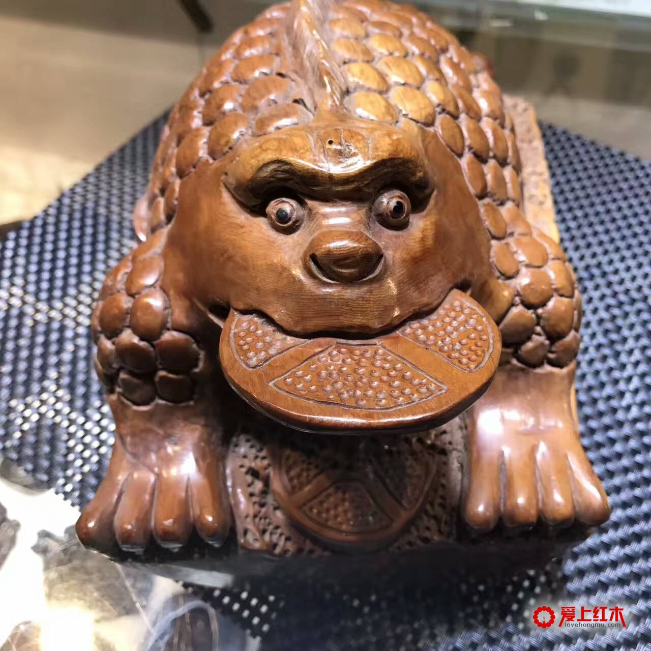 红豆杉手工雕刻招财金蟾 客厅风水摆件-6