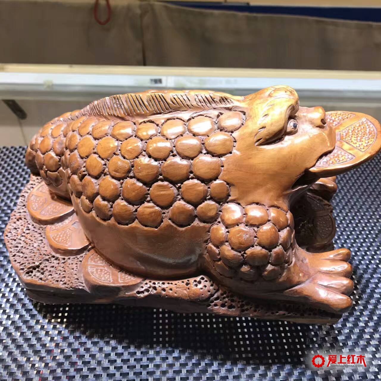 红豆杉手工雕刻招财金蟾 客厅风水摆件-7