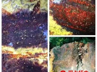 不同木头中的纹理欣赏 极品纹理美不胜收
