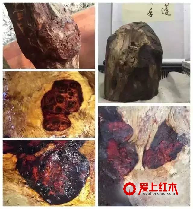 不同木头中的纹理欣赏 极品纹理美不胜收-2