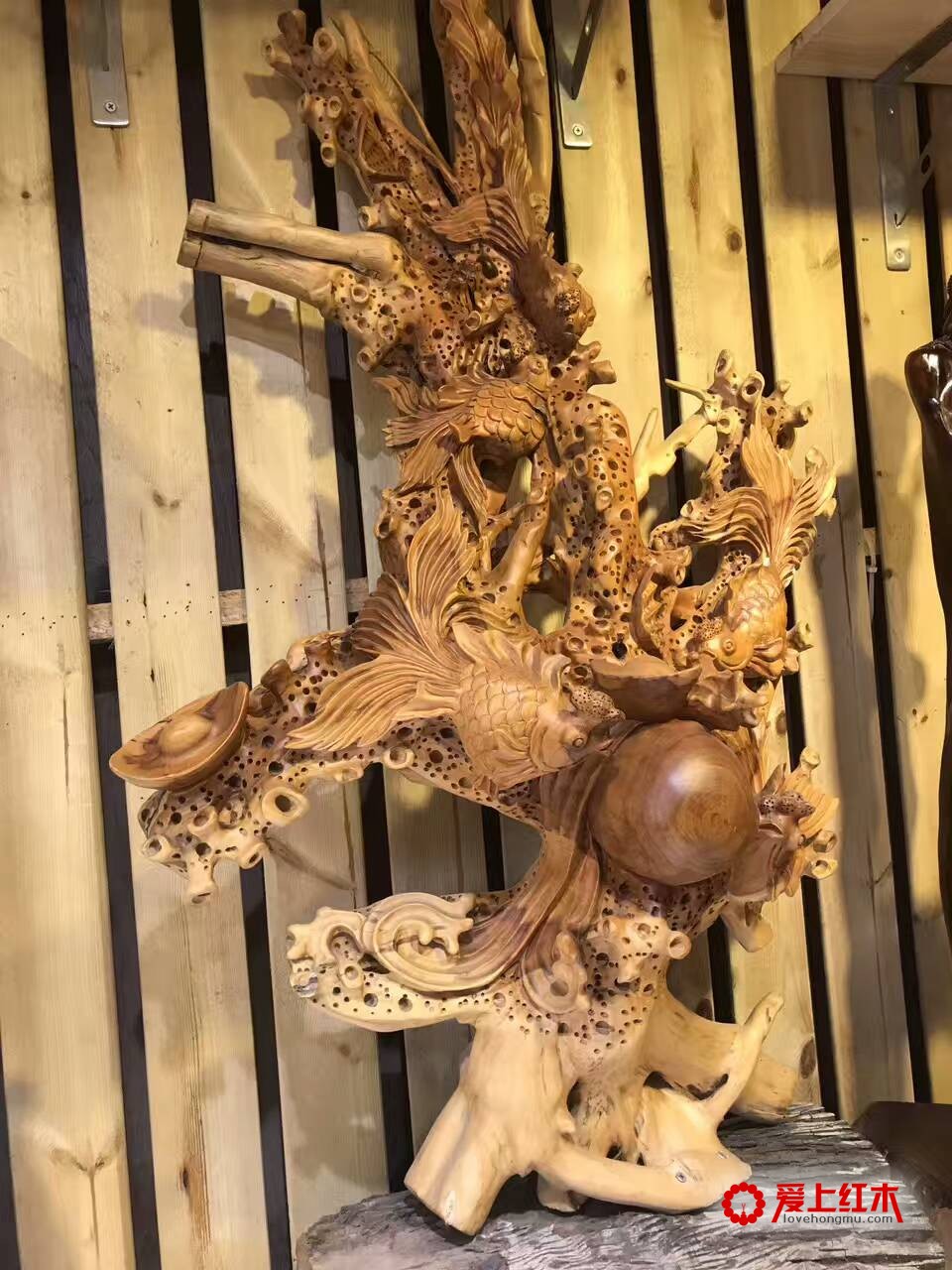 三明红豆杉金玉满堂无拼补配香樟底座 送礼佳品-6