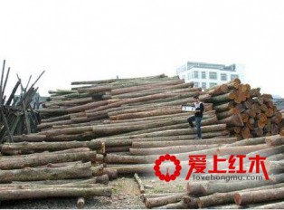 楠木家具良材特色 其特性可避寒