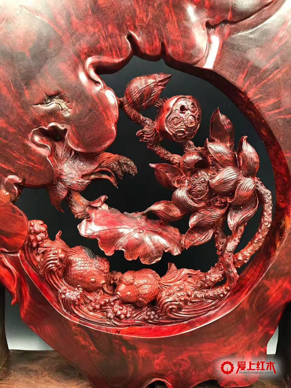 正宗印度小叶紫檀高密度爆瘤雕件《和和美美》-2