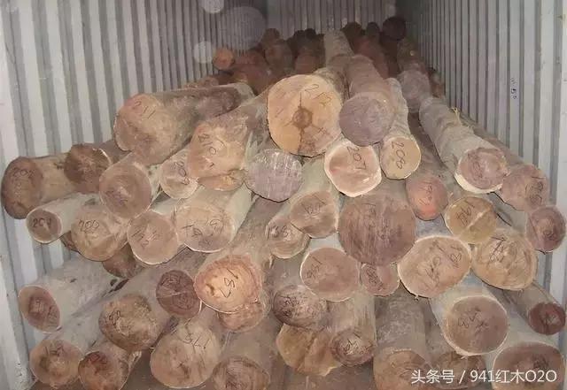 红木国标33种木材哪些将严格受管制-4
