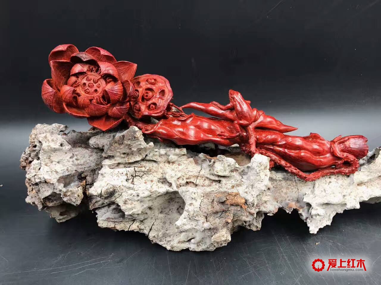 印度小叶紫檀高密度泥料带金星把件荷塘月色-1