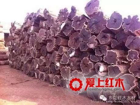 什么是黑檀？市场上常见的黑檀都是哪几类木材？-3