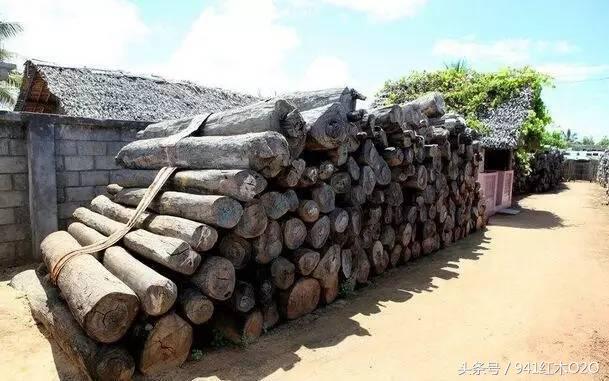什么是大叶紫檀 学名卢氏黑黄檀-2